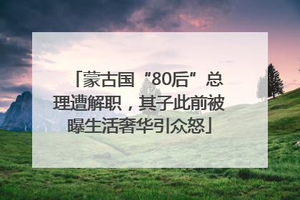 蒙古国“80后”总理遭解职，其子此前被曝生活奢华引众怒