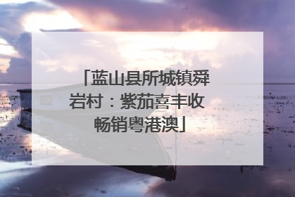 蓝山县所城镇舜岩村：紫茄喜丰收 畅销粤港澳