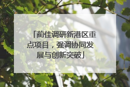 蔺佳调研新港区重点项目，强调协同发展与创新突破