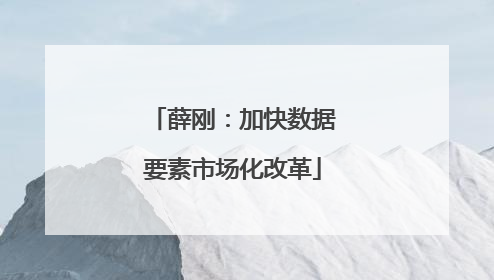 薛刚：加快数据要素市场化改革