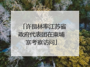 许昆林率江苏省政府代表团在柬埔寨考察访问