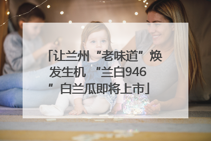 让兰州“老味道”焕发生机 “兰白946”白兰瓜即将上市