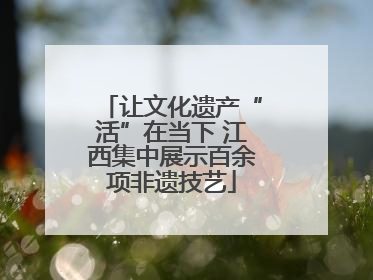 让文化遗产“活”在当下 江西集中展示百余项非遗技艺