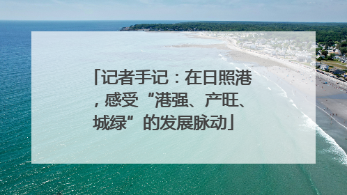 记者手记：在日照港，感受“港强、产旺、城绿”的发展脉动