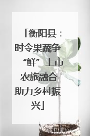 衡阳县：时令果蔬争“鲜”上市 农旅融合助力乡村振兴