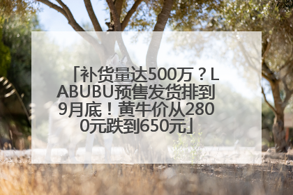 补货量达500万？LABUBU预售发货排到9月底！黄牛价从2800元跌到650元