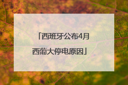 西班牙公布4月西葡大停电原因