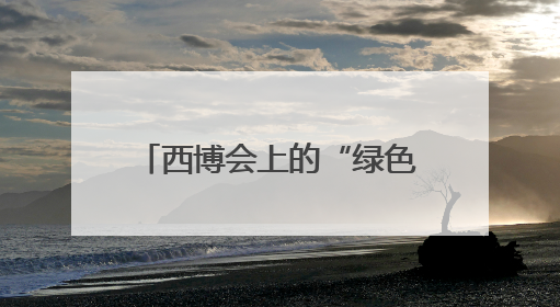 西博会上的“绿色密码”：四川唯一电网拆解中心让废旧物资“重生”｜西博寻“新”记