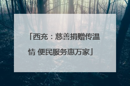 西充：慈善捐赠传温情 便民服务惠万家