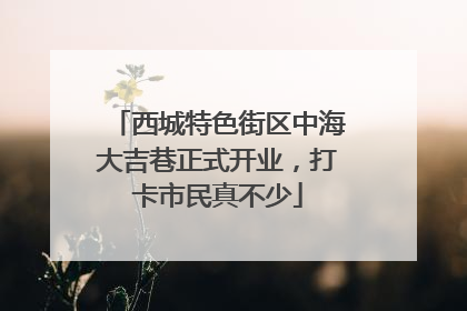 西城特色街区中海大吉巷正式开业，打卡市民真不少