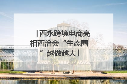 西永跨境电商亮相西洽会“生态圈”越做越大