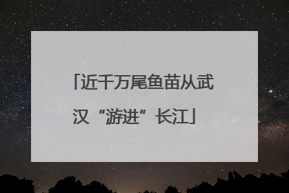 近千万尾鱼苗从武汉“游进”长江