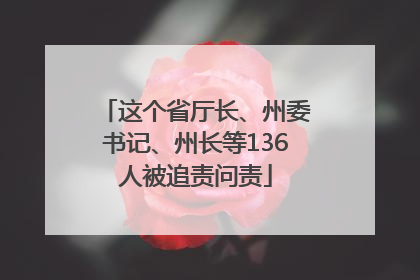 这个省厅长、州委书记、州长等136人被追责问责