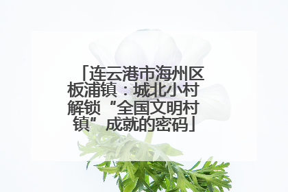 连云港市海州区板浦镇：城北小村解锁“全国文明村镇”成就的密码