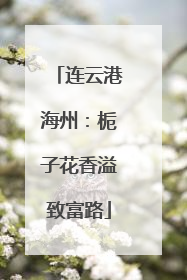 连云港海州：栀子花香溢致富路