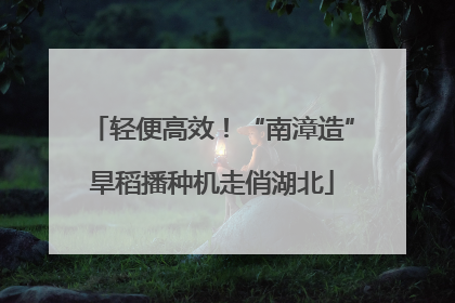轻便高效！“南漳造”旱稻播种机走俏湖北