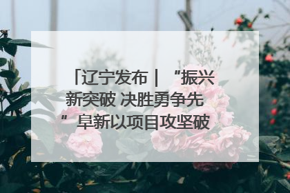 辽宁发布｜“振兴新突破 决胜勇争先”阜新以项目攻坚破解发展瓶颈 经济发展实现良好开局