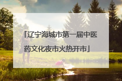 辽宁海城市第一届中医药文化夜市火热开市