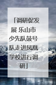 调研促发展 乐山市少先队鼓号队走进凤凰学校进行调研