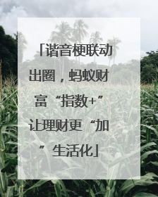 谐音梗联动出圈，蚂蚁财富“指数+”让理财更“加”生活化