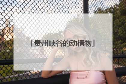贵州峡谷的动植物