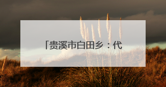 贵溪市白田乡：代表织密安全网，守牢假期安全关（图）