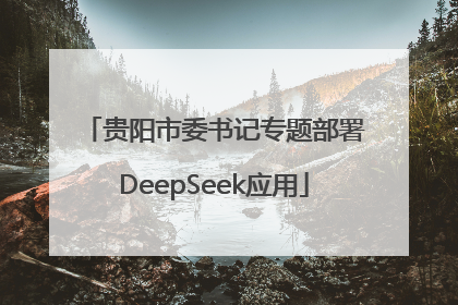 贵阳市委书记专题部署DeepSeek应用
