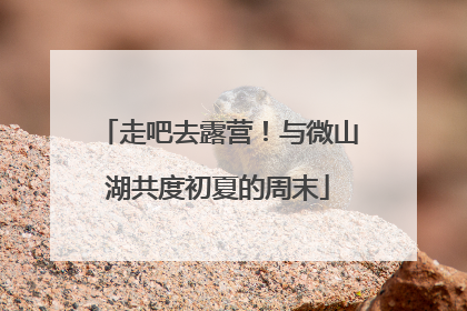 走吧去露营！与微山湖共度初夏的周末