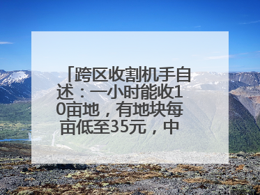 跨区收割机手自述：一小时能收10亩地，有地块每亩低至35元，中午基本不吃饭
