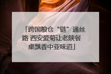 跨国粮仓“链”通丝路 西安爱菊让老陕餐桌飘香中亚味道