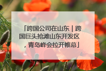 跨国公司在山东｜跨国巨头抢滩山东开发区，青岛峰会拉开帷幕