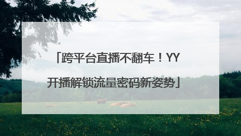 跨平台直播不翻车！YY 开播解锁流量密码新姿势