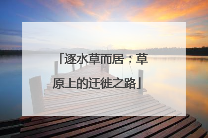 逐水草而居：草原上的迁徙之路