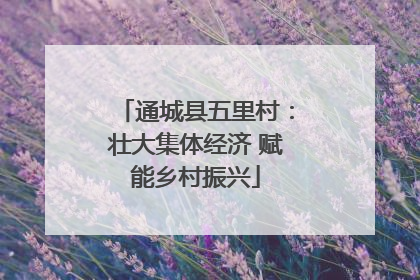 通城县五里村：壮大集体经济 赋能乡村振兴