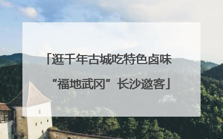 逛千年古城吃特色卤味 “福地武冈”长沙邀客