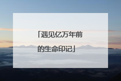 遇见亿万年前的生命印记