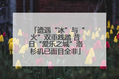 遭遇“冰”与“火”双重践踏 昔日“爱乐之城”洛杉矶已面目全非