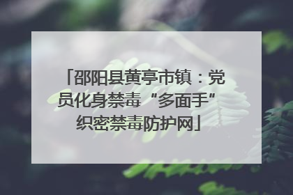 邵阳县黄亭市镇：党员化身禁毒“多面手” 织密禁毒防护网