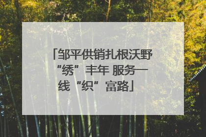 邹平供销扎根沃野“绣”丰年 服务一线“织”富路