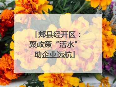 郏县经开区：聚政策“活水” 助企业远航