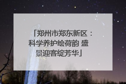 郑州市郑东新区：科学养护绘荷韵 盛景迎客绽芳华