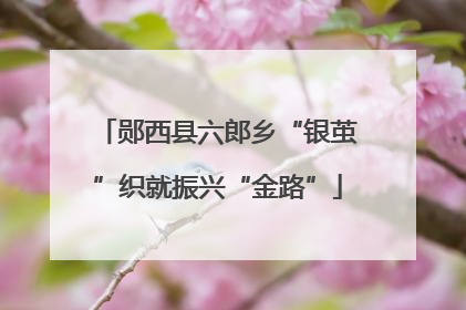 郧西县六郎乡“银茧”织就振兴“金路”