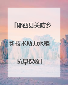 郧西县关防乡新技术助力水稻抗旱保收