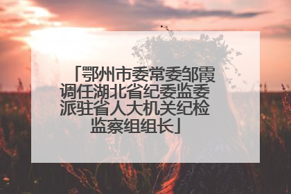 鄂州市委常委邹霞调任湖北省纪委监委派驻省人大机关纪检监察组组长