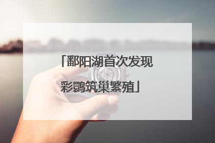 鄱阳湖首次发现彩鹮筑巢繁殖