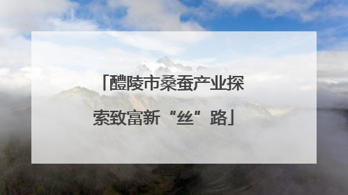 醴陵市桑蚕产业探索致富新“丝”路