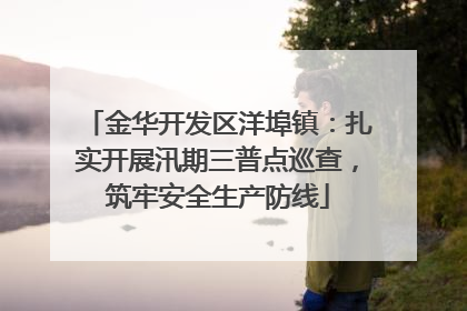 金华开发区洋埠镇：扎实开展汛期三普点巡查，筑牢安全生产防线