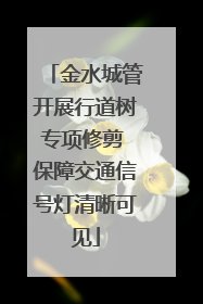 金水城管开展行道树专项修剪 保障交通信号灯清晰可见