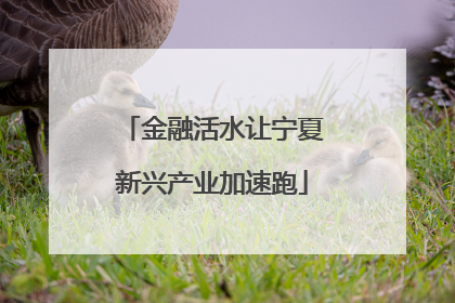 金融活水让宁夏新兴产业加速跑