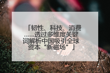 韧性、科技、消费……透过多维度关键词解析中国吸引全球资本“新磁场”